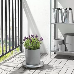 NYPON - Plant pot, in/outdoor grey, 19 cm