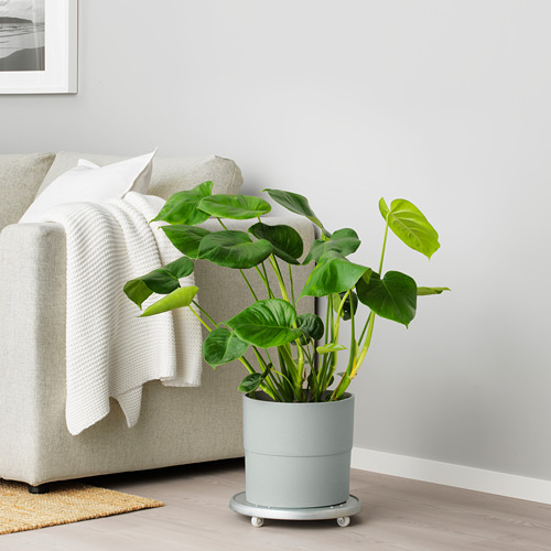 NYPON plant pot