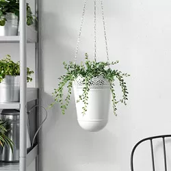 FEJKA - Tanaman tiruan dalam pot, dalam/luar ruang Senecio, 9 cm