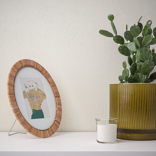 TRIVIALSKOG frame