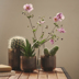GRADVIS plant pot