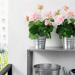 FEJKA - Artificial potted plant, in/outdoor/Geranium pink, 12 cm