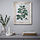 PLOMMONTRÄD - bingkai, putih efek kayu pinus yang diwarnai, 30x40 cm | IKEA Indonesia - PE905930_S1