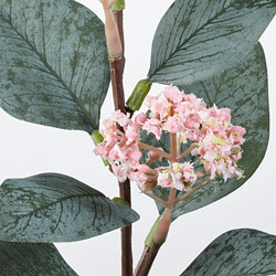 SMYCKA - Bunga tiruan, eucalyptus/merah muda, 30 cm