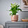 HONUNGSPALM - plant pot, in/outdoor/pink, 15 cm | IKEA Indonesia - PE939755_S1