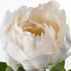 SMYCKA - Artificial flower, Peony/white, 30 cm