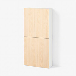 BESTÅ - Kabinet dinding dengan 2 pintu, putih/Fänrik kayu ash, 60x22x128 cm