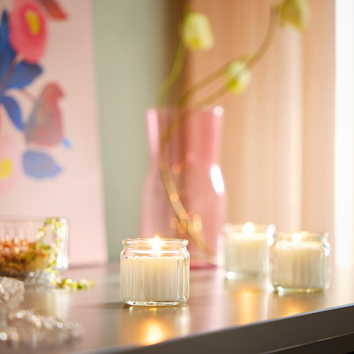 HÖKGÖK scented candle in glass