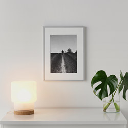 LOMVIKEN - Frame, aluminium, 30x40 cm