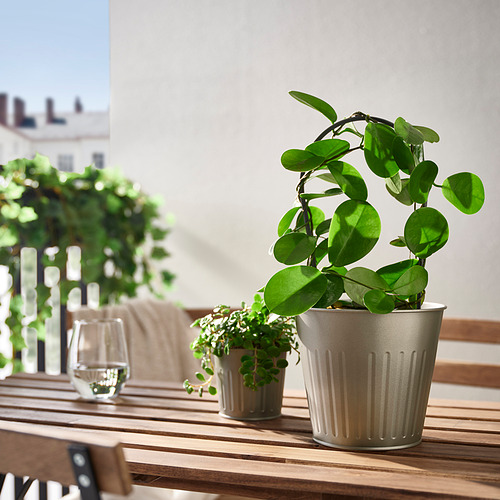 CITRONMELISS plant pot