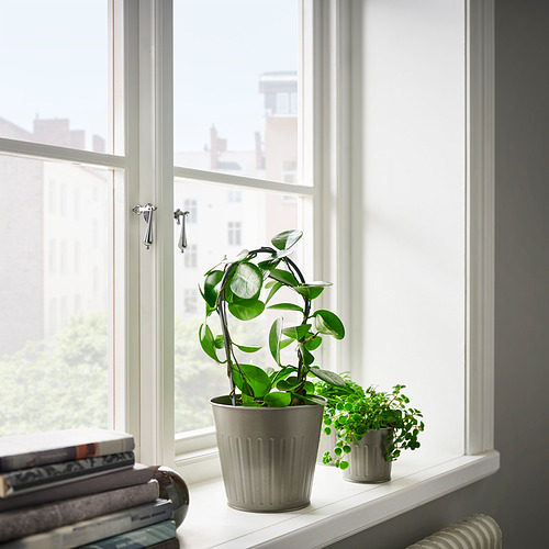CITRONMELISS plant pot
