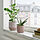 BUSKKAPRIFOL - plant pot, in/outdoor/grey, 9 cm | IKEA Indonesia - PE939607_S1