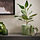 CHIAFRÖN - plant pot, in/outdoor green, 15 cm | IKEA Indonesia - PE939634_S1