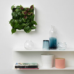 FEJKA - Artificial plant, wall mounted/in/outdoor green/lilac, 26x26 cm