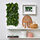 FEJKA - tanaman tiruan, dipasang di dinding/dalam/luar ruang hijau, 26x26 cm | IKEA Indonesia - PE908190_S1