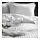 NATTJASMIN - sarung duvet dan 2 sarung bantal, putih, 200x200/50x80 cm | IKEA Indonesia - PE684772_S1