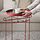 LIVELYCKE - tray table, red, 50 cm | IKEA Indonesia - PE912151_S1