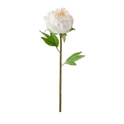 SMYCKA - Artificial flower, Peony/white, 30 cm