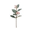 SMYCKA - Bunga tiruan, eucalyptus/merah muda, 30 cm