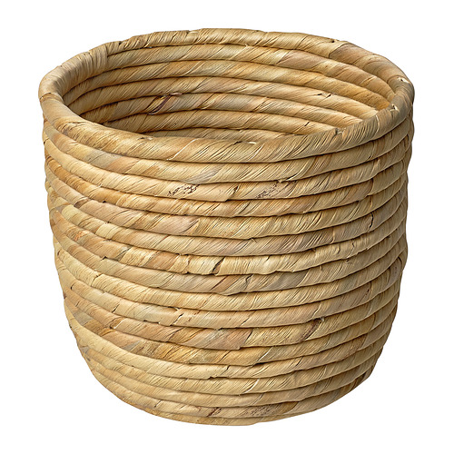 SANDÖDLA pot tanaman