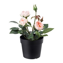 FEJKA - Tanaman tiruan dalam pot, dalam/luar ruang/Mawar merah muda, 9 cm