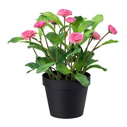 FEJKA - Tanaman tiruan dalam pot, dalam/luar ruang/Bellis perennis merah muda, 12 cm