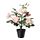 FEJKA - artificial potted plant, in/outdoor/Rose pink, 12 cm | IKEA Indonesia - PE686811_S1