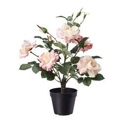 FEJKA - Tanaman tiruan dalam pot, dalam/luar ruang/Mawar merah muda, 12 cm