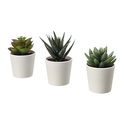 FEJKA - Tanaman tiruan dengan pot, dalam/luar ruang Sukulen, 6 cm 3 –p