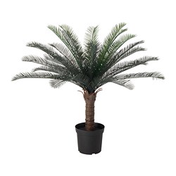 FEJKA - Tanaman tiruan dalam pot, dalam/luar ruang CYCAS REVOLUTA, 19 cm