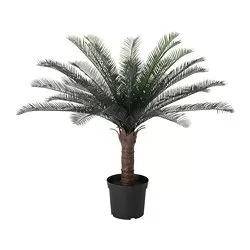 FEJKA - Tanaman tiruan dalam pot, dalam/luar ruang CYCAS REVOLUTA, 19 cm