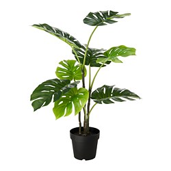 FEJKA - Tanaman tiruan dalam pot, dalam/luar ruang Monstera, 19 cm