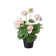FEJKA - Artificial potted plant, in/outdoor/Geranium pink, 12 cm