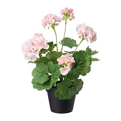 FEJKA - Artificial potted plant, in/outdoor/Geranium pink, 12 cm