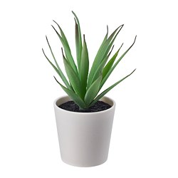 FEJKA - Artificial potted plant with pot, in/outdoor Succulent, 6 cm