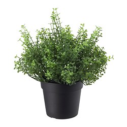 FEJKA - Tanaman tiruan dalam pot, dalam/luar ruang Baby’s tears, 9 cm