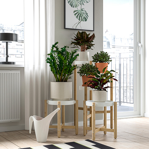 SATSUMAS plant stand
