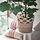 VÅRDANDE - pot tanaman, 26 cm | IKEA Indonesia - PH184183_S1