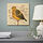 PJÄTTERYD - picture, yellowhammer, 40x40 cm | IKEA Indonesia - PE940183_S1