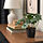 BROKTRAST plant pot