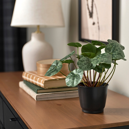 BROKTRAST plant pot