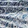 RODGERSIA pillowcase
