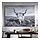 BJÖRKSTA - picture with frame, curious cow/black, 140x100 cm | IKEA Indonesia - PE912124_S1