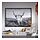 BJÖRKSTA - picture with frame, curious cow/black, 140x100 cm | IKEA Indonesia - PE912132_S1