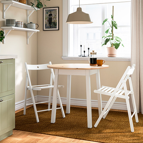 PINNTORP/FRÖSVI table and 2 folding chairs