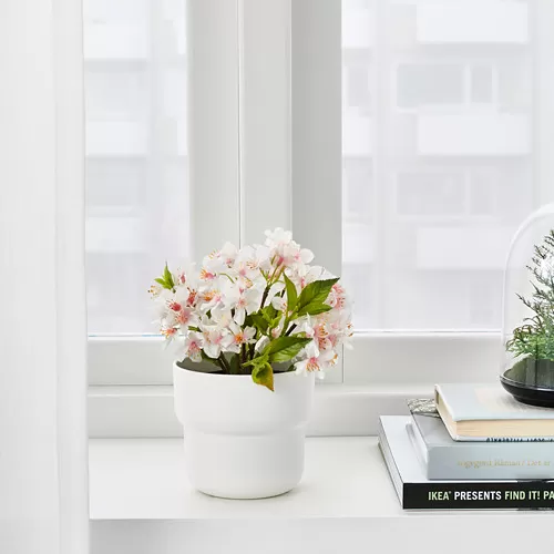 FÖRENLIG pot tanaman