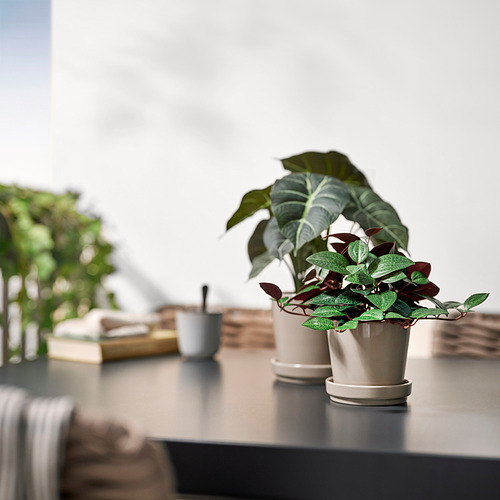FEJKA artificial potted plant