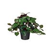 FEJKA - Tanaman tiruan dalam pot, dalam/luar ruang Anggrek permata, 9 cm
