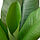FEJKA - tanaman tiruan dalam pot, dalam/luar ruang Pohon pisang, 12 cm | IKEA Indonesia - PE976199_S1