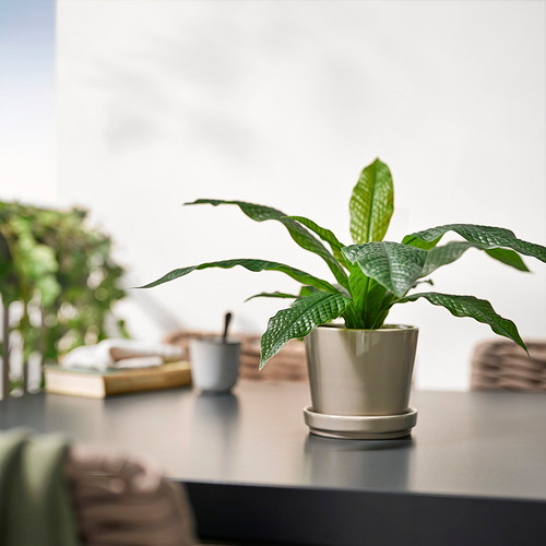 FEJKA artificial potted plant
